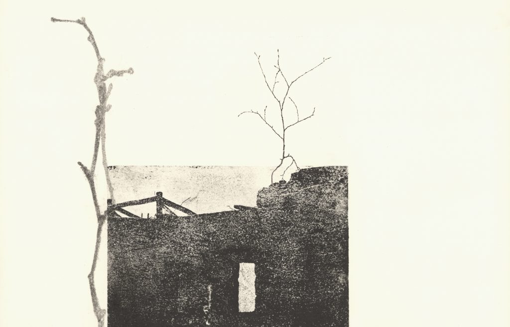 Nana Seeber, crescente architectura", Papyrographie auf Papier
