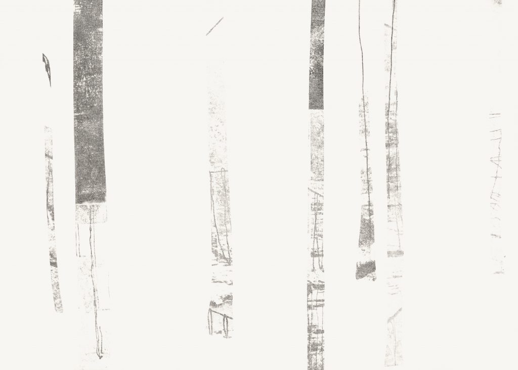 Nana Seeber, Cameroon comprehendo, Alugraphie auf Büttenpapier, 35 x 25 cm, 2022