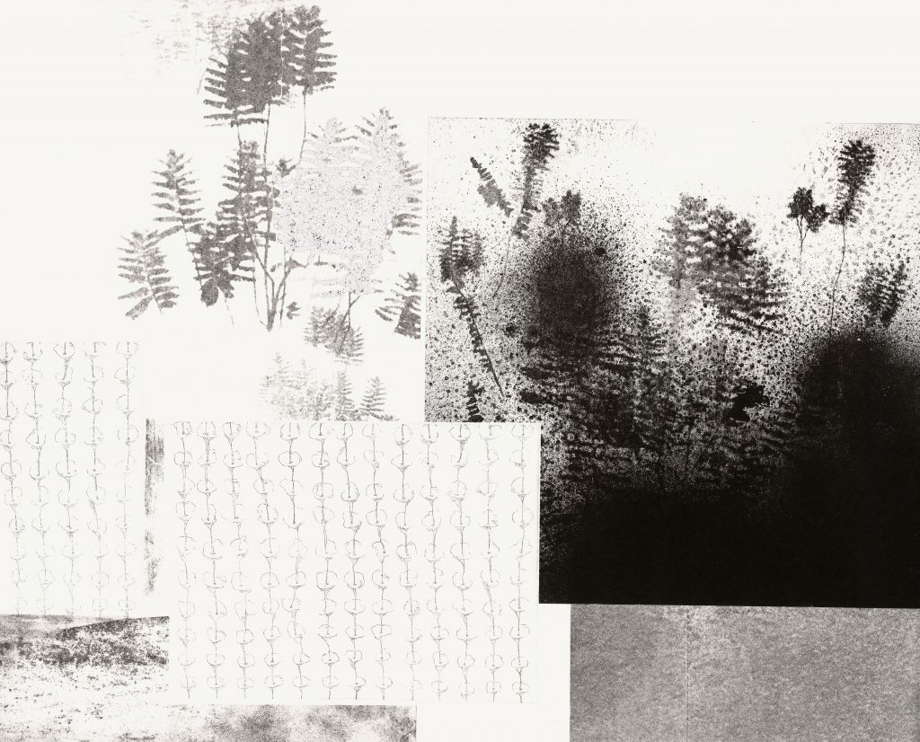 Nana Seeber, Cameroon complecto, Alugraphie/Prägedruck und Fotoradierung auf Büttenpapier, variierende Formate, 2022