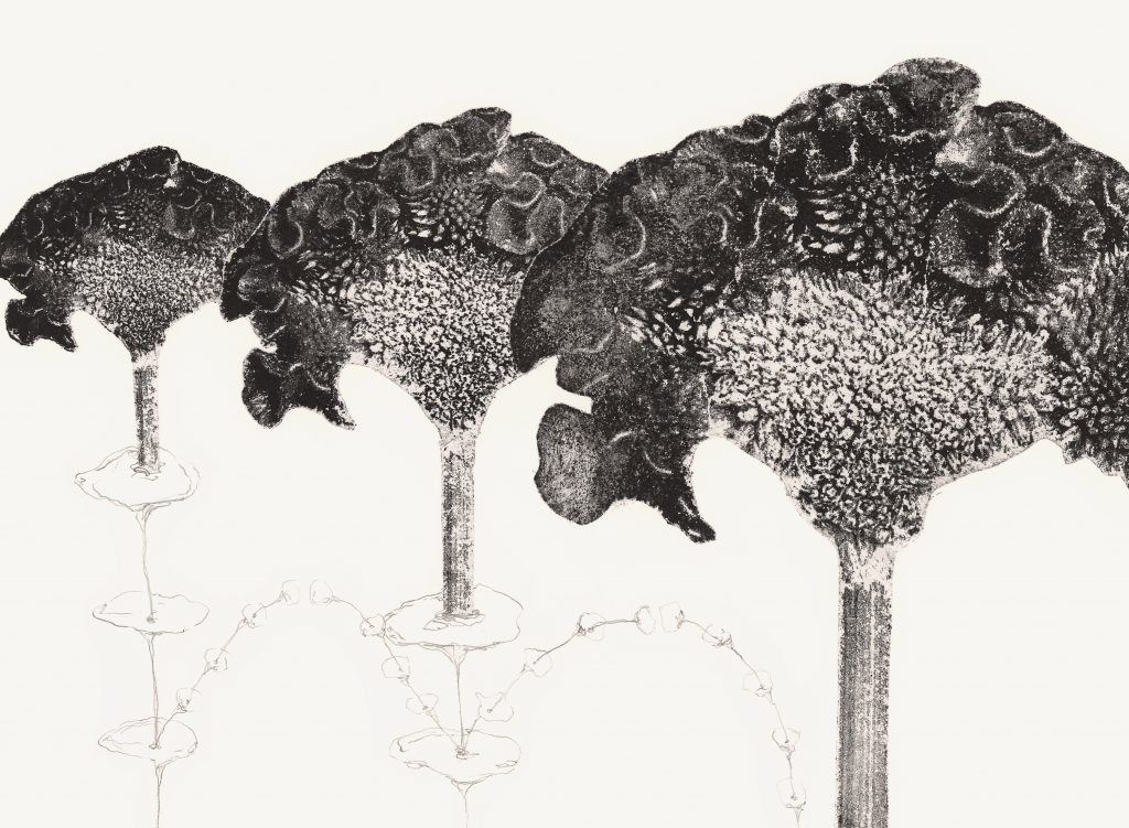 Nana Seeber, deformis flores, Papyrographie:Graphit auf Papier, 22 x 30 cm, 2022